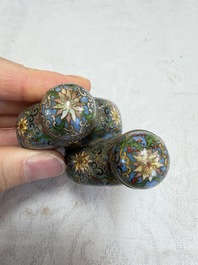 A collection of 12 Chinese cloisonn&eacute; snuff bottles with floral design, 19/20th C.