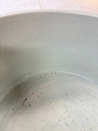 A massive Chinese blue and white 'Buddhist lotus scroll' circular basin, Kangxi