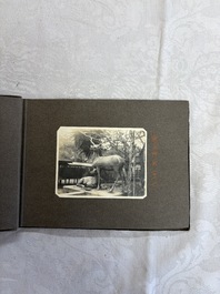 Five photo albums on the Imperial Japanese Navy, compiled by a naval captain, 1919-1940