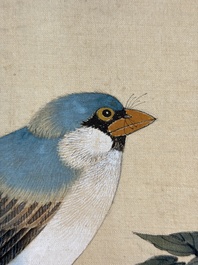 Two Chinese silk paintings with birds on blossoming branches, signed Shi Ren 施仁, dated 1898
