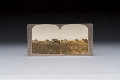 17 stereoview cards with views of China, depicting street scenes, architecture and daily life, 19/20th C.