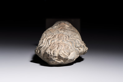 A Gandhara grey schist relief fragment of a Bodhisattva head, 3rd/4th C.