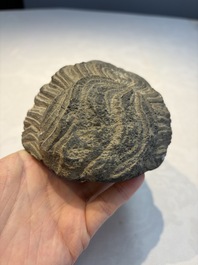 A Gandhara grey schist relief fragment of a Bodhisattva head, 3rd/4th C.