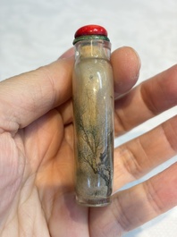 A Chinese inside-painted glass snuff bottle with insects, signed Bi Rongjiu 畢榮九, dated 1899