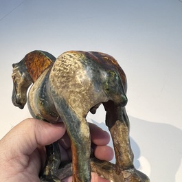 A Chinese sancai-glazed horse, probably Tang
