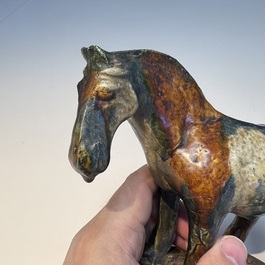 A Chinese sancai-glazed horse, probably Tang