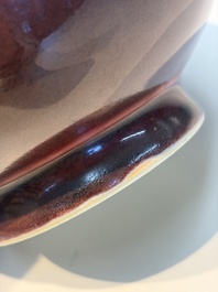 A Chinese copper-red-glazed 'Yuhuchunping' vase, Qianlong mark and of the period