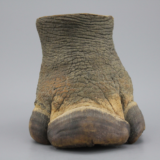 Poot van een neushoorn, 19/20e