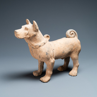 Een groot Chinees grijs aardewerken model van een hond, Han