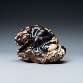 Een Chinees model van een pad in amber gesculpteerd, 19/20e eeuw