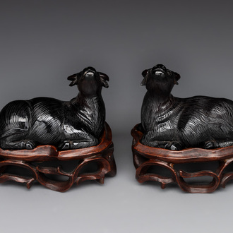 A pair of Chinese cherry amber or faturan recumbent oxen on wooden stands, Republic