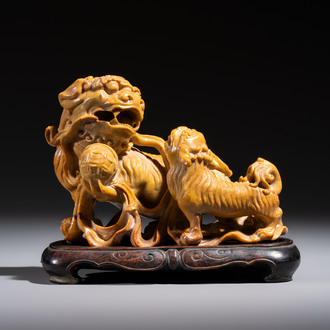 A fine Chinese soapstone group of Buddhist lions on wooden stand, 19th C.