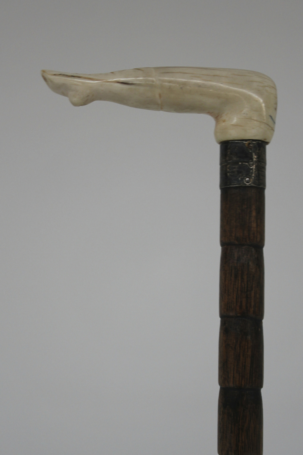 Une canne en ivoire et bois, "jambe de danseuse", 19e