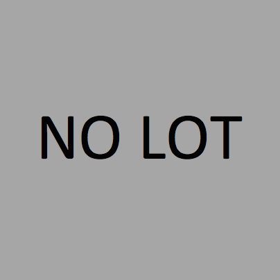 NO LOT