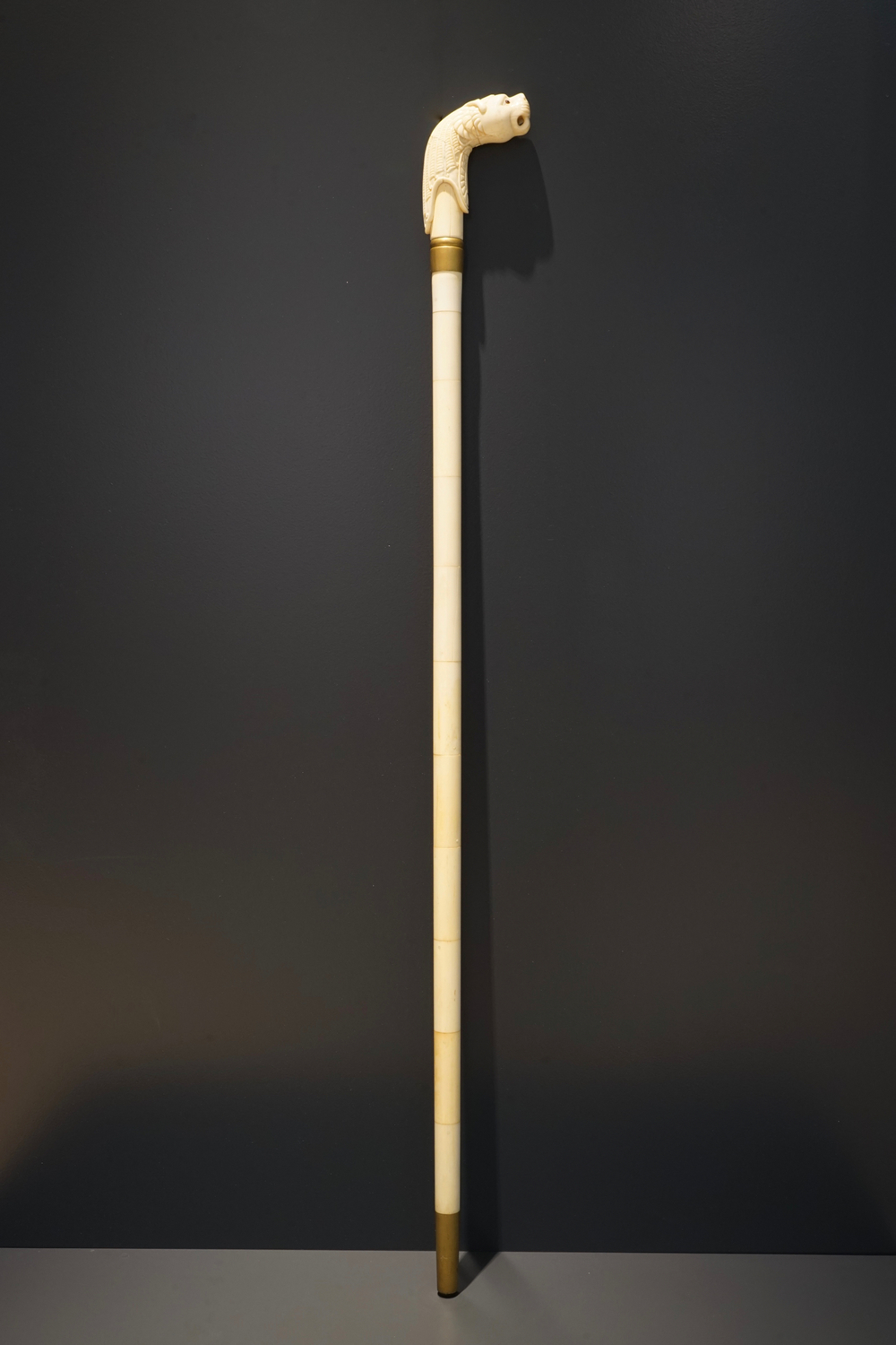 An Anglo-Indian ivory and brass walking stick or cane with a lion's head, 19th C.