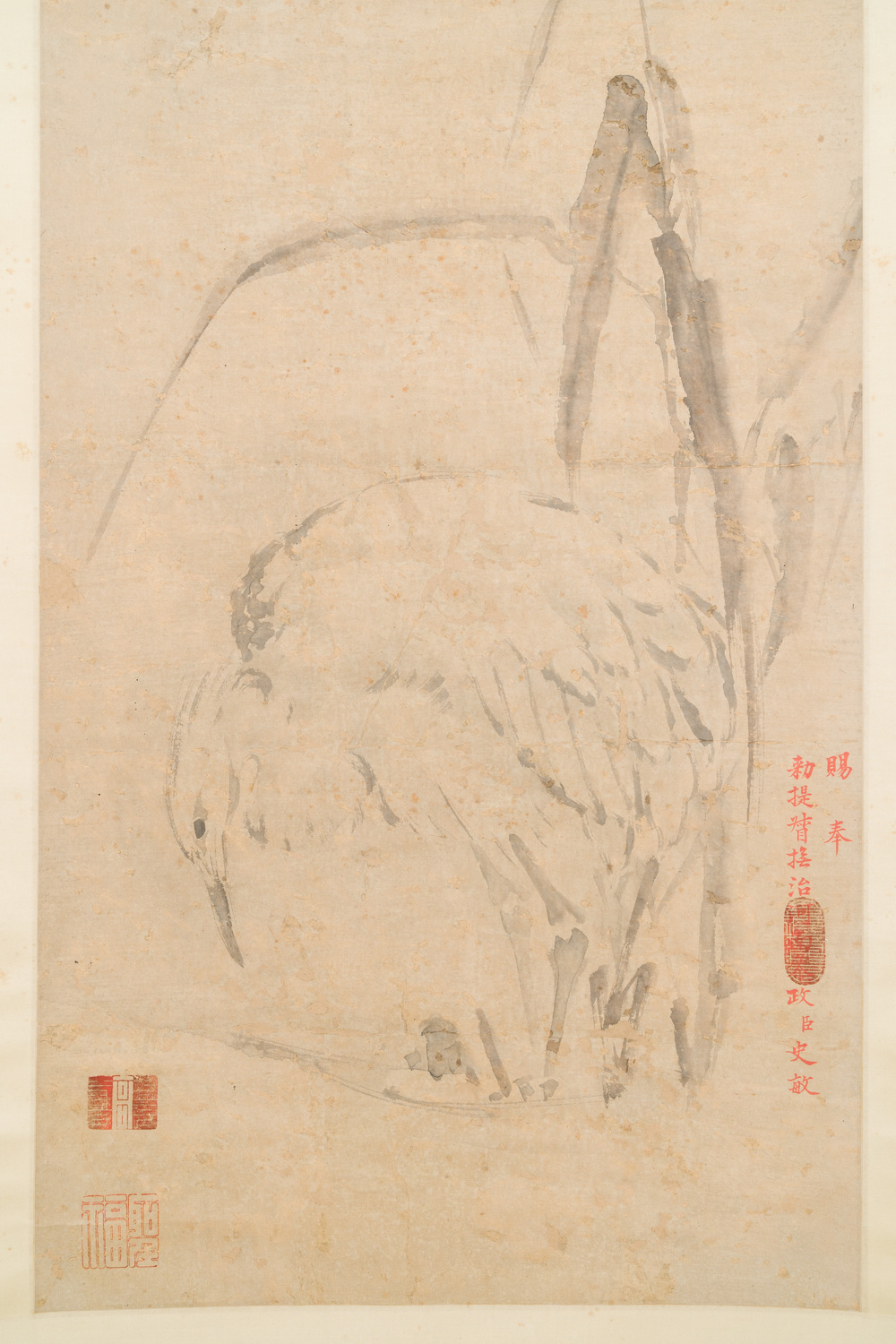 Ecole chinoise, anonyme, dans la collection de Shi Min 史敏 (1415-?): 'H&eacute;ron et acorus', aquarelle sur papier, dat&eacute;e 1427 mais probablement plus tardive