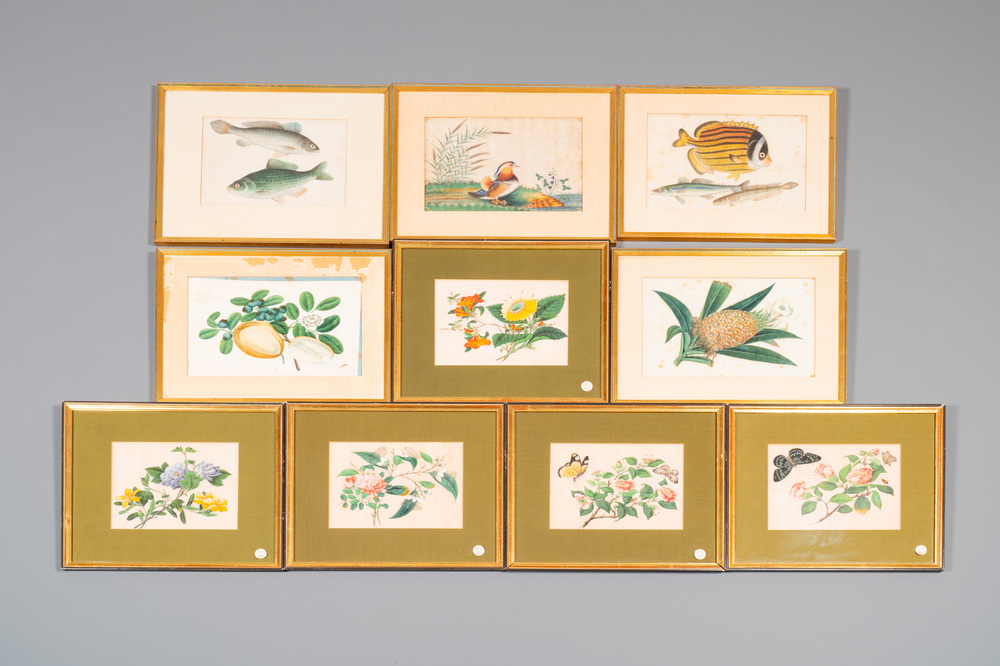 Dix peintures diverses sur papier de riz repr&eacute;sentant la flore et la faune, Canton, Chine, 19/20&egrave;me