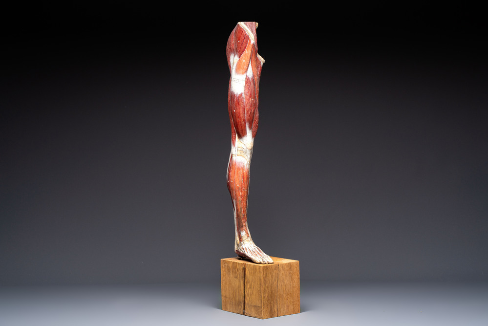 A French anatomical model of a human leg in polychrome papier-m&acirc;ch&eacute;, Maison Auzoux, dated 1947