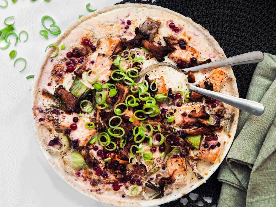 Kantarelldoftande lax i ugn med lingon