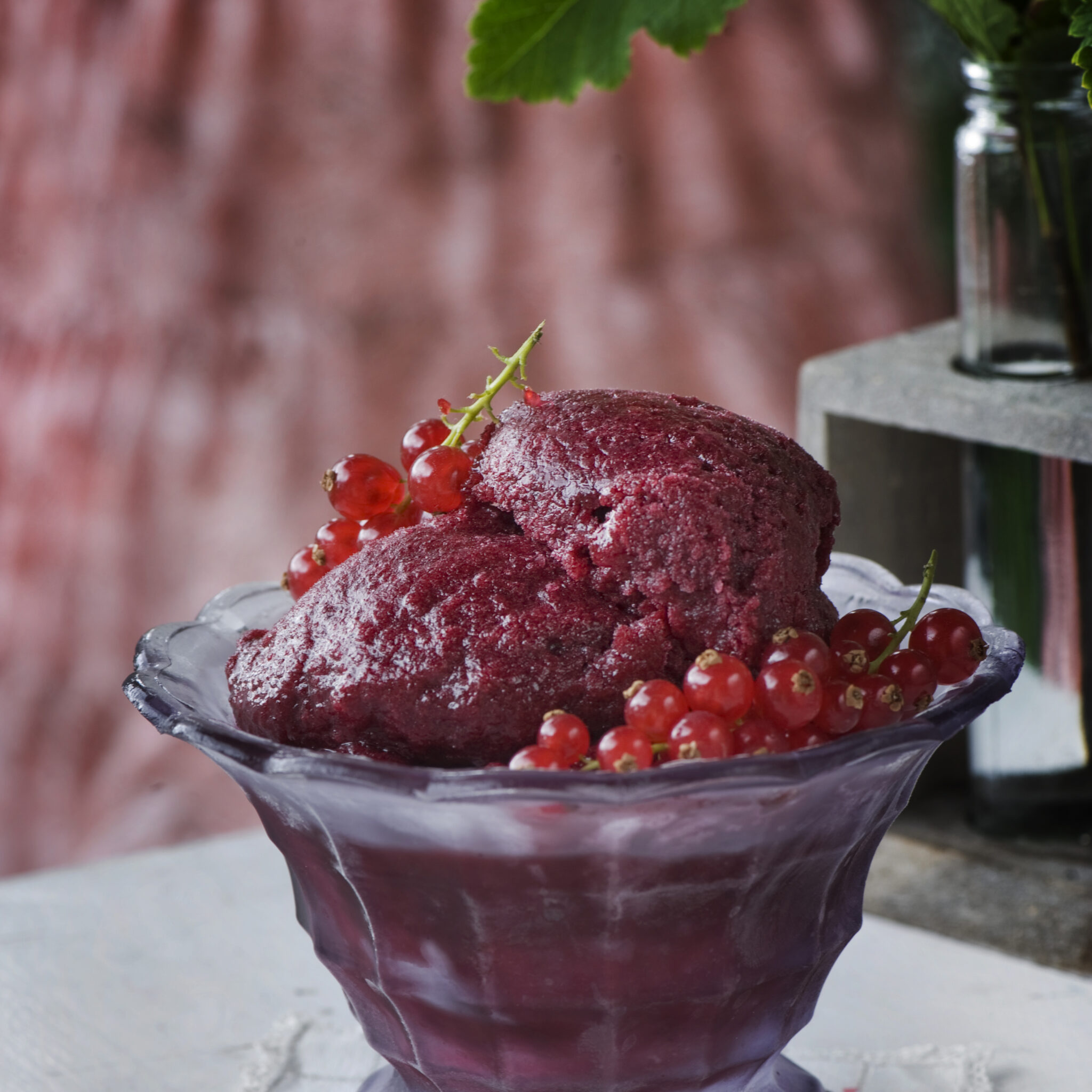 Svartvinbärssorbet med enbär