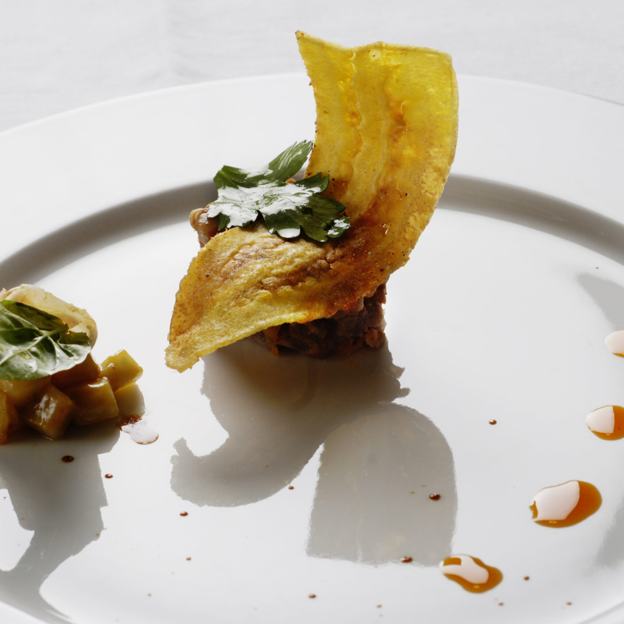 Ljummen tonfisktartar med plantainchips
