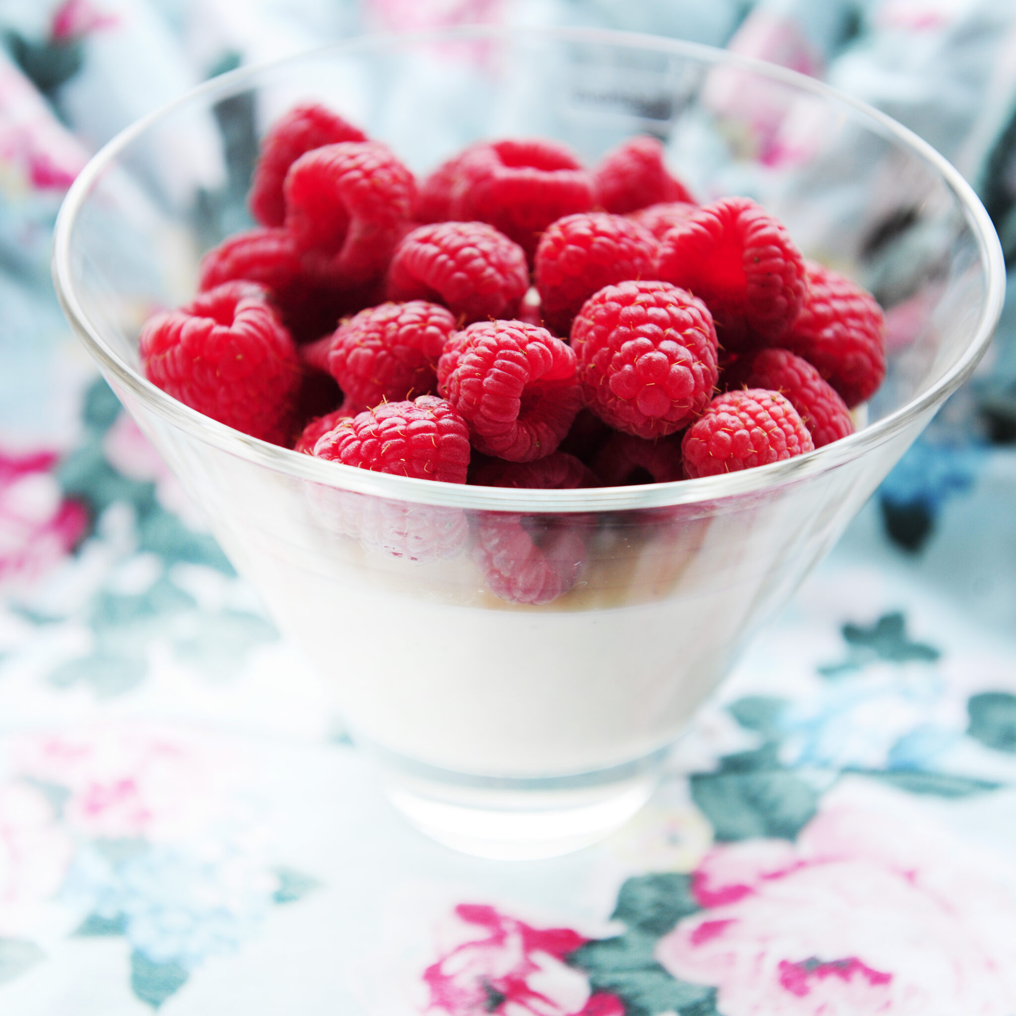 Pannacotta med hallon