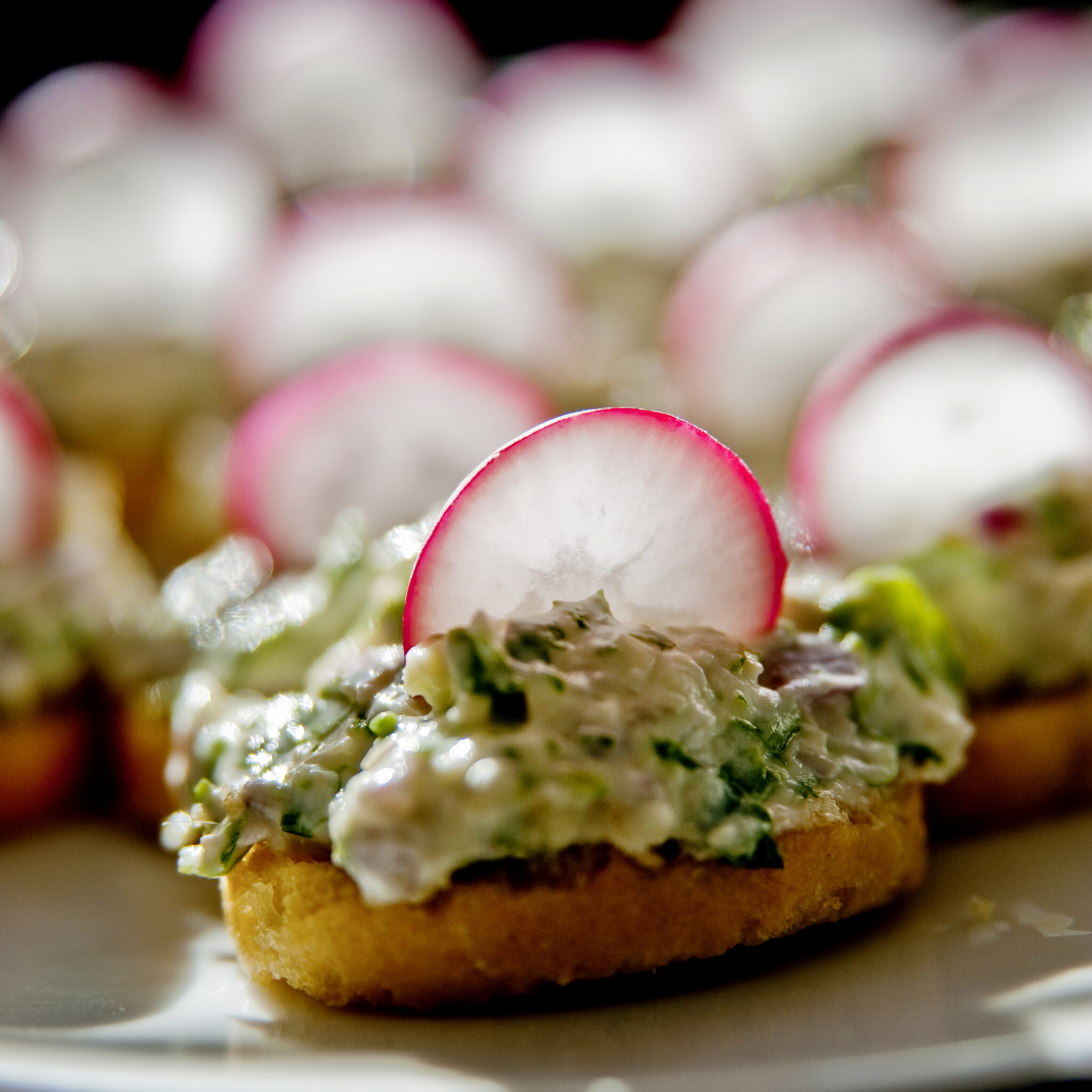 Crostini med ost- och sardellyoghurt