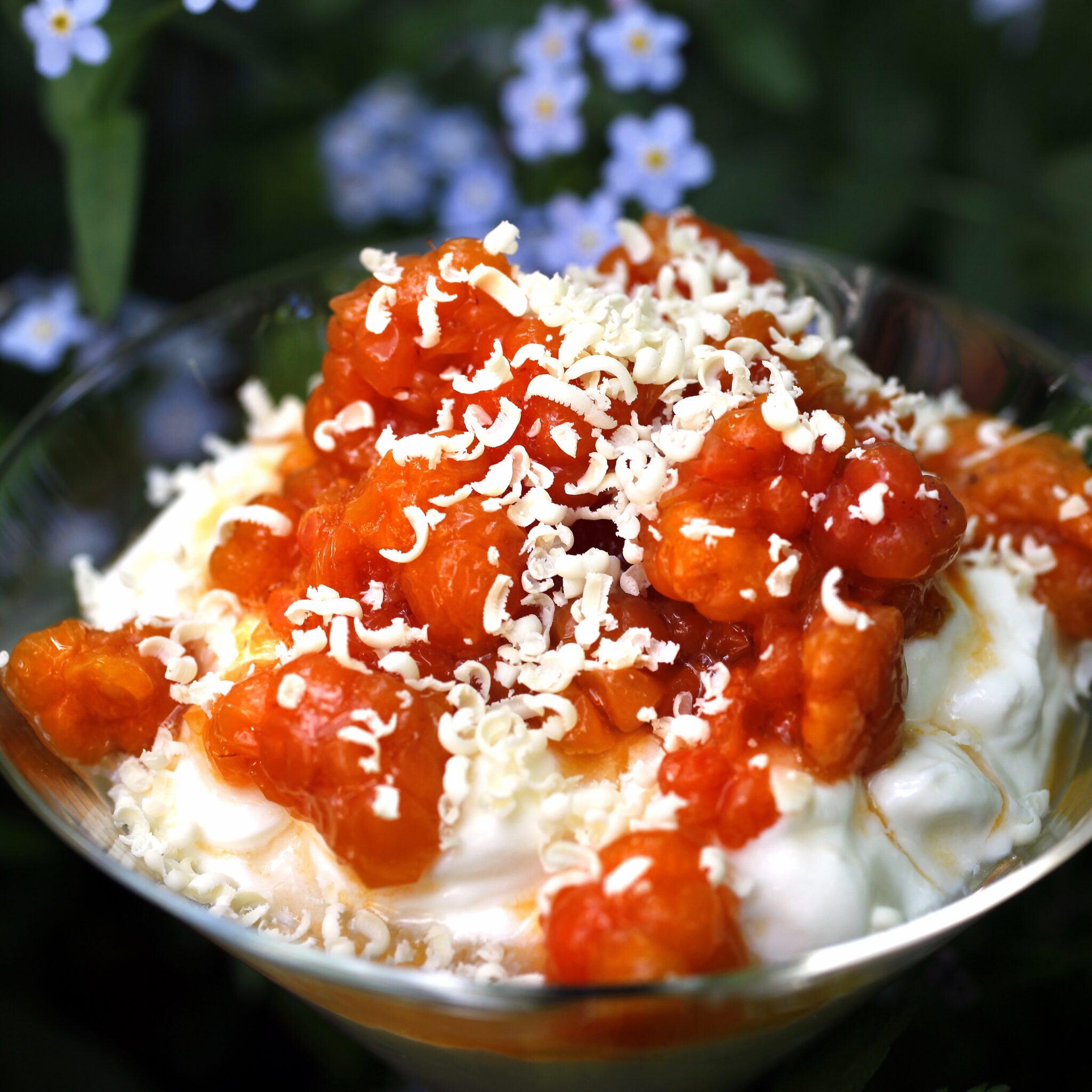 Yoghurt med vit choklad och hjortron