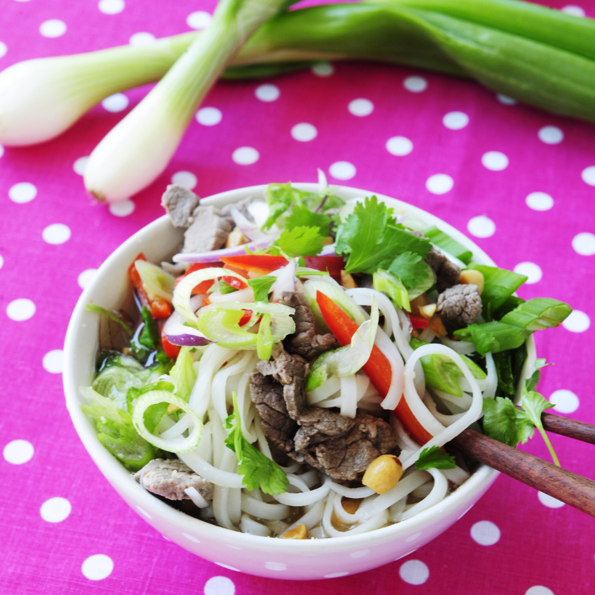 Vietnamesisk nudelsoppa med lövbiff