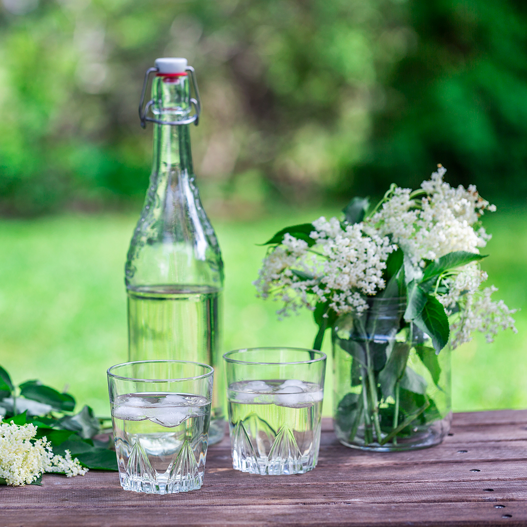 Fläderblomssaft – grundrecept